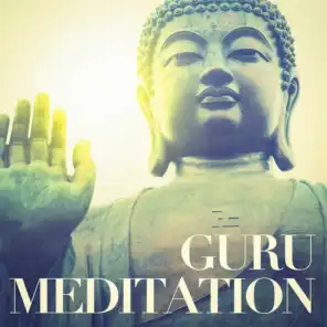 Guru meditation