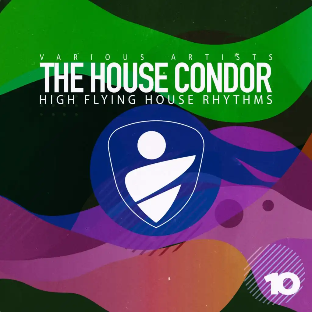 The House Condor, Vol. 10