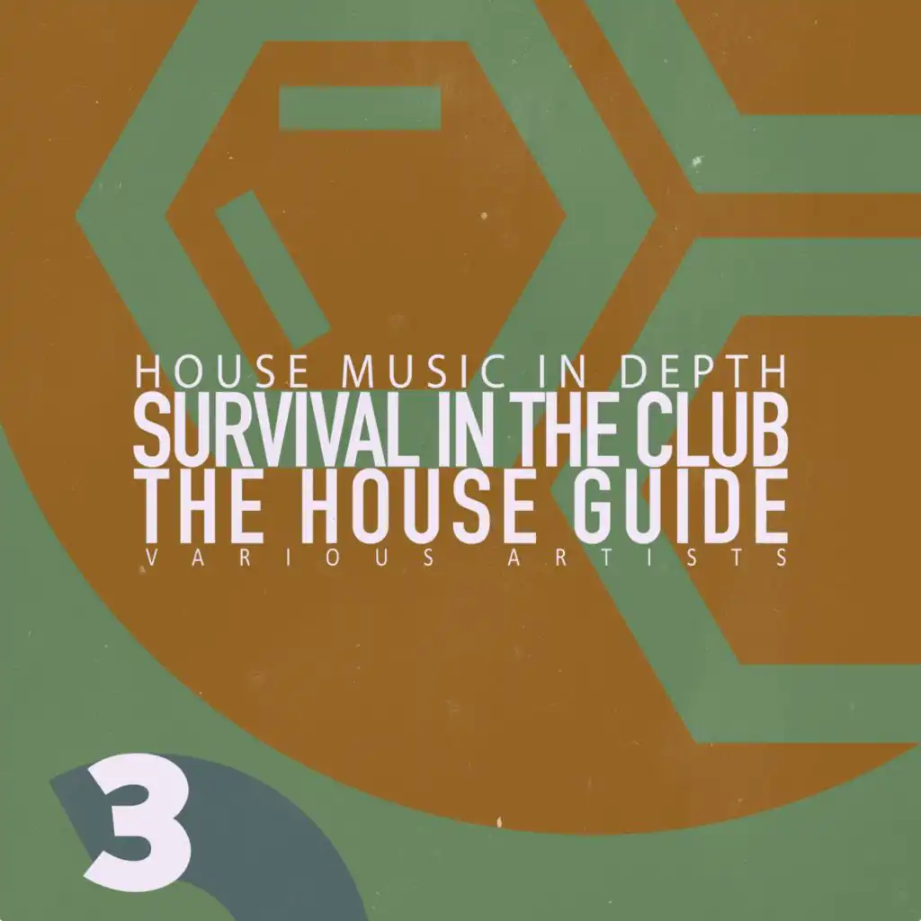 Minor Swing (The Deep House Mix)
