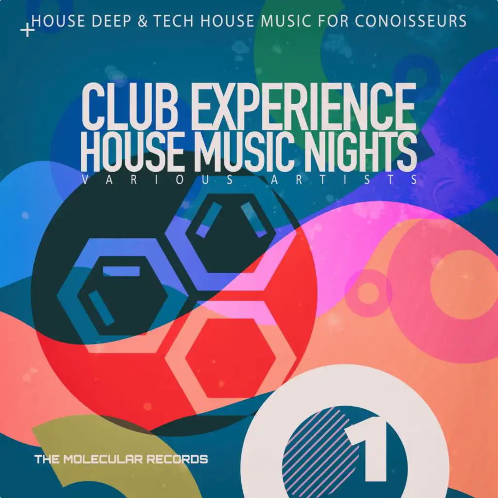 Club Experience: House Music Nights, Vol. 1