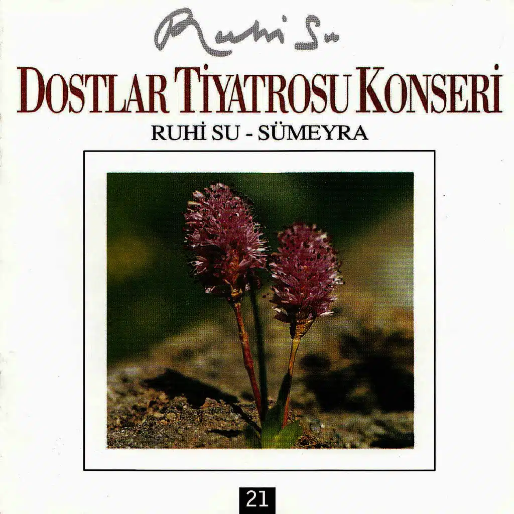 Dostlar Tiyatrosu Konseri