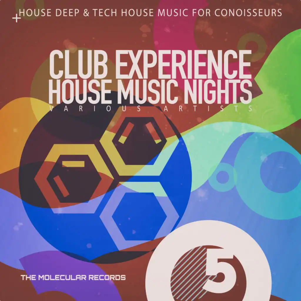 Club Experience: House Music Nights, Vol. 5