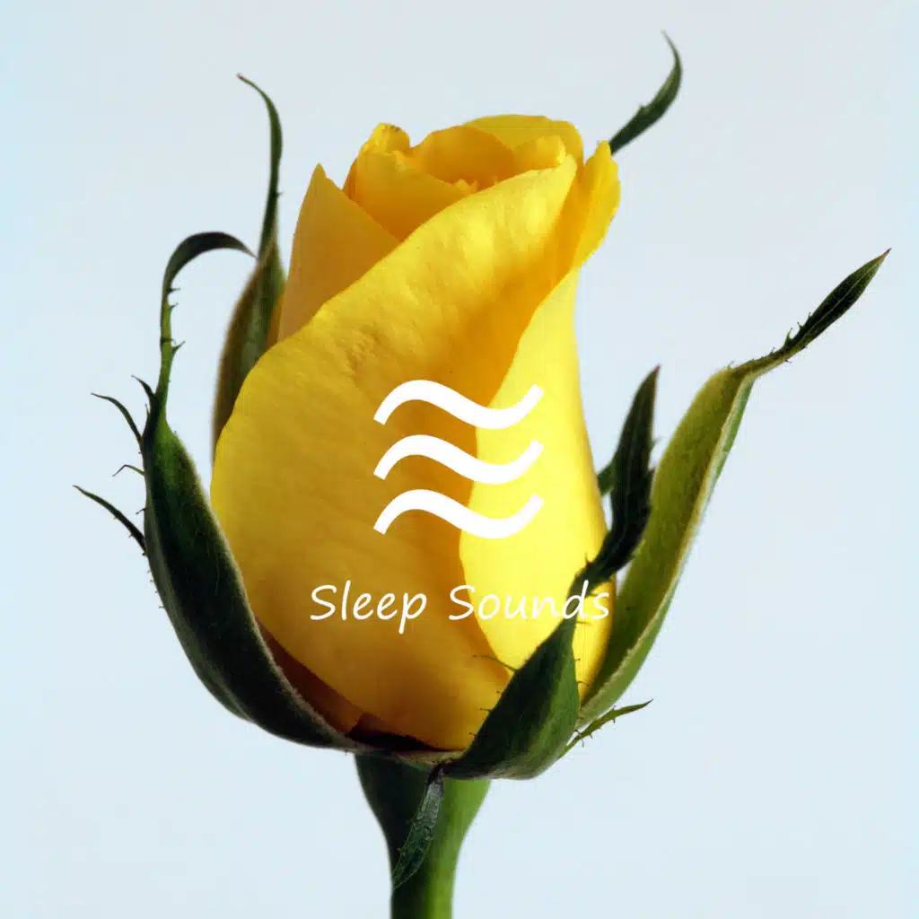 Remain Sleeping Recline Noise