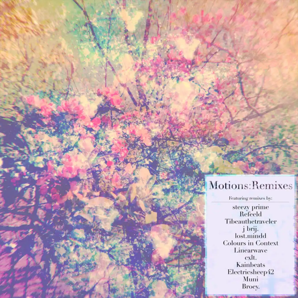 Motions:Remixes