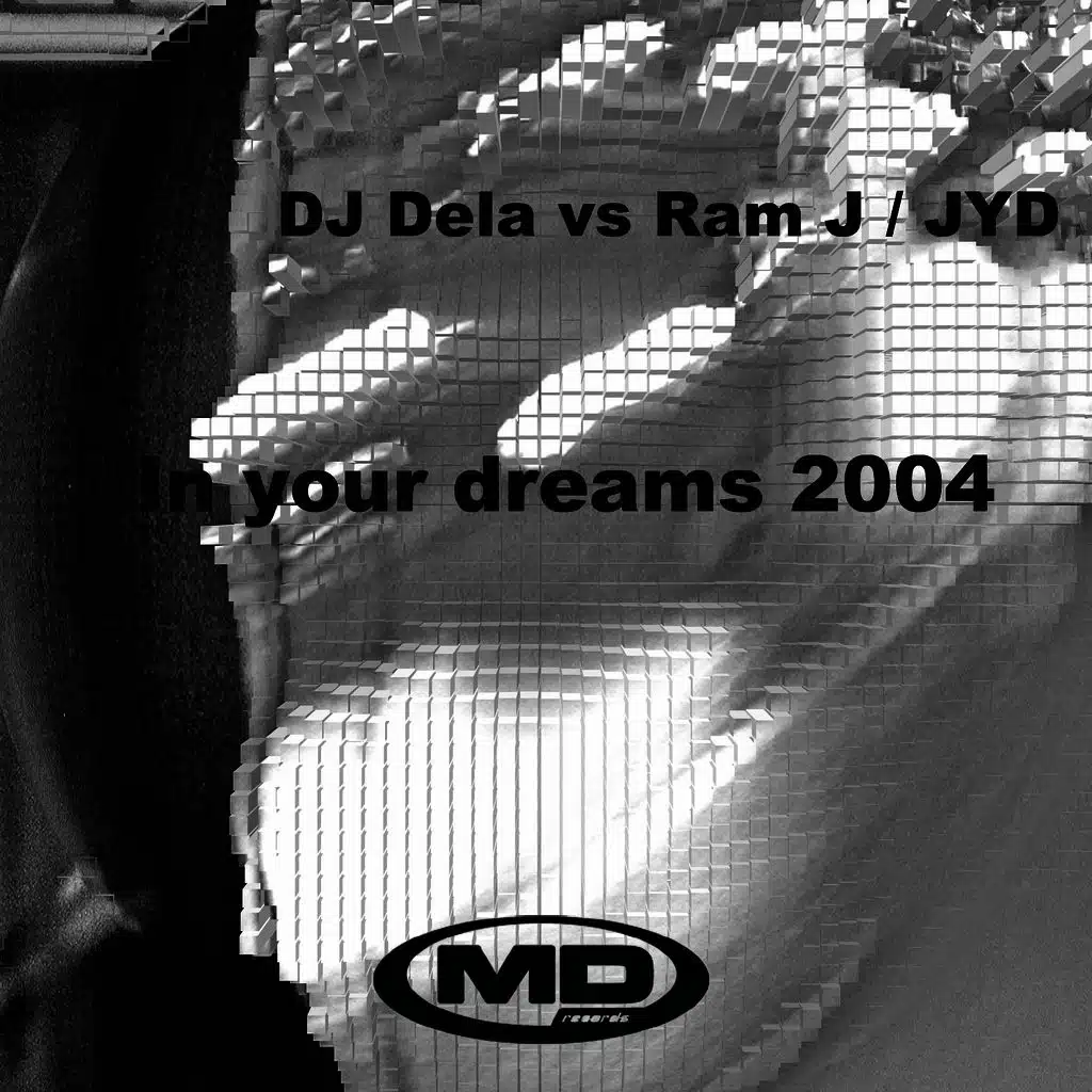 In Your Dreams 2004