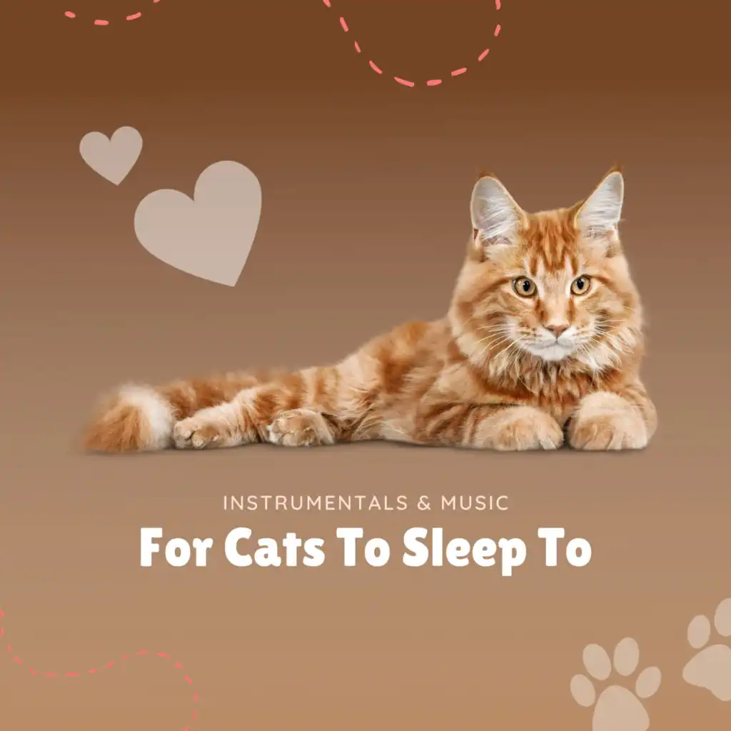 Instrumentals & Music For Cats To Sleep To