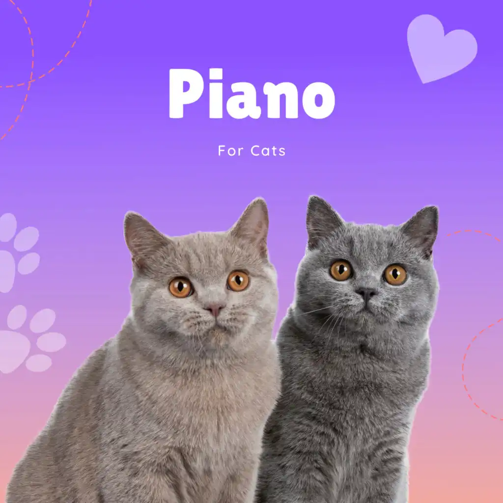 Piano For Cats