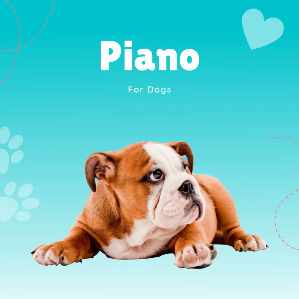 Calming Piano Pet