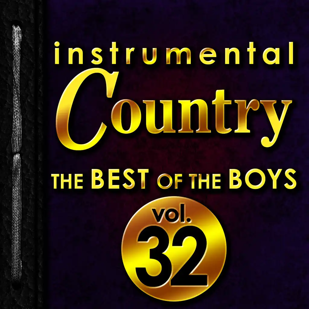 Instrumental Country: The Best of the Boys, Vol. 32