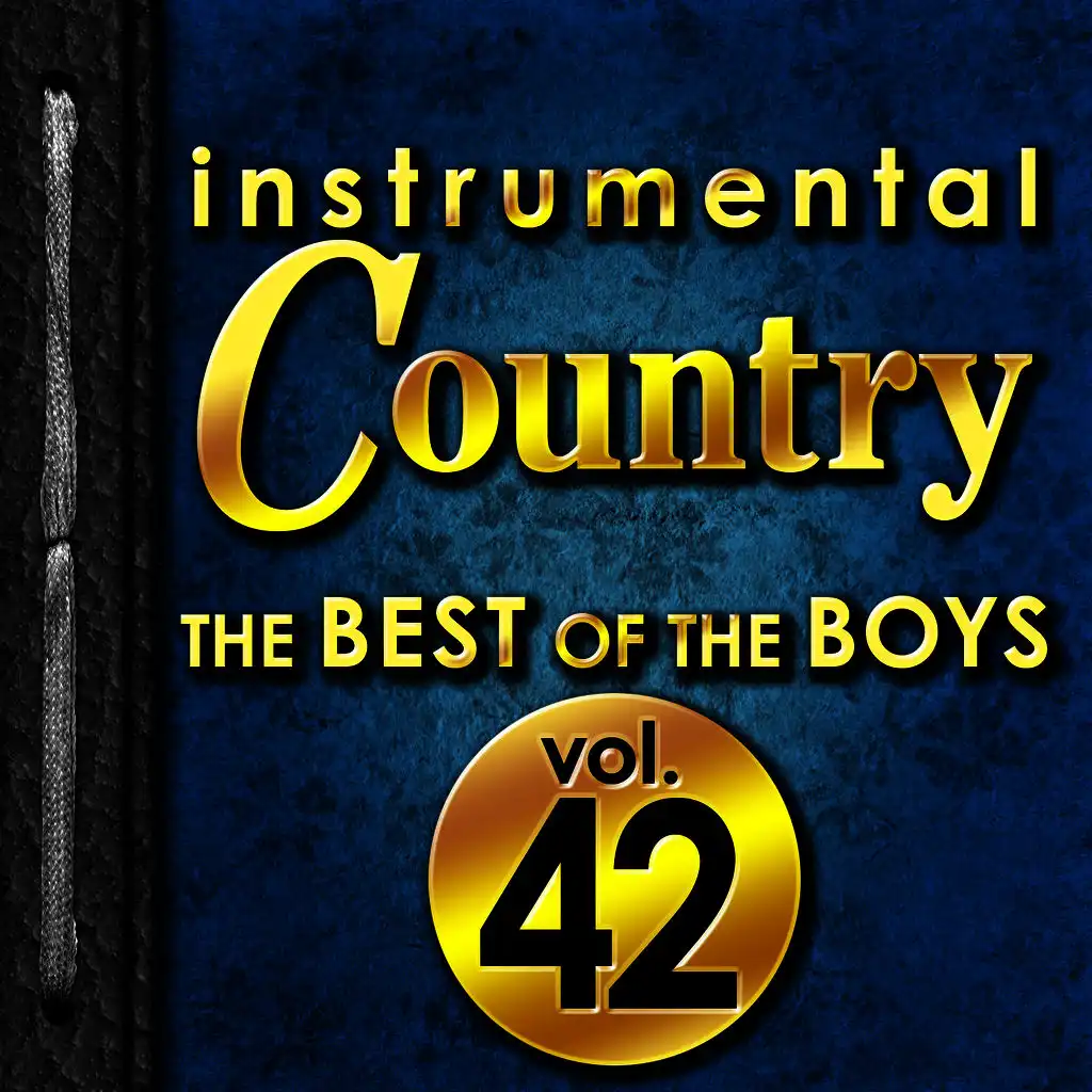 Instrumental Country: The Best of the Boys, Vol. 42