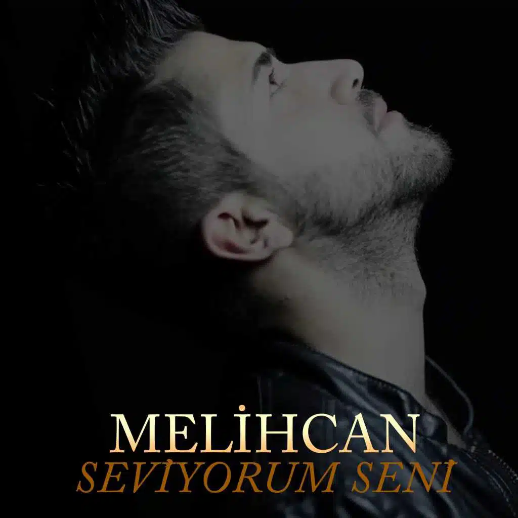 Seviyorum Seni