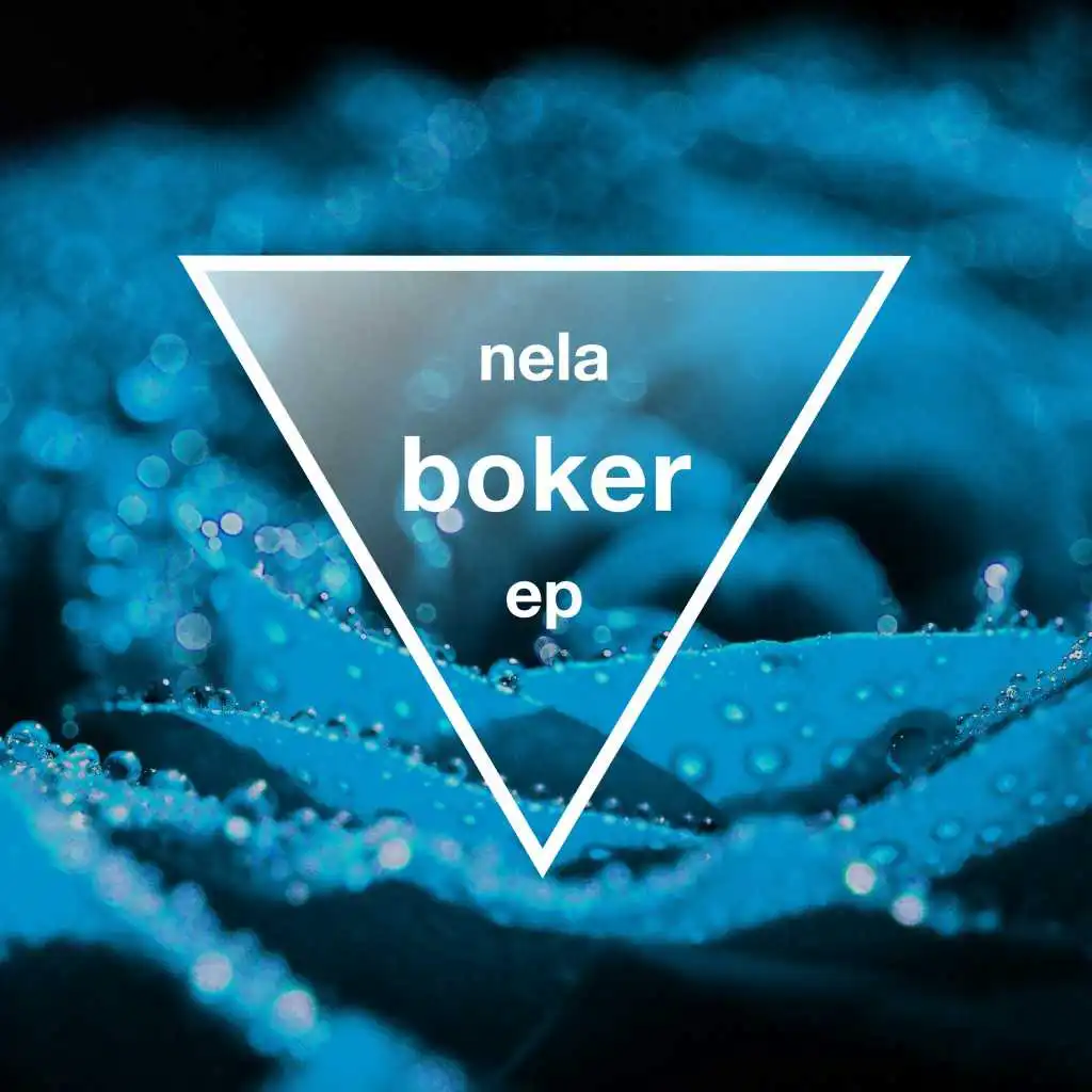 Boker (Lee Van Dowski Remix)