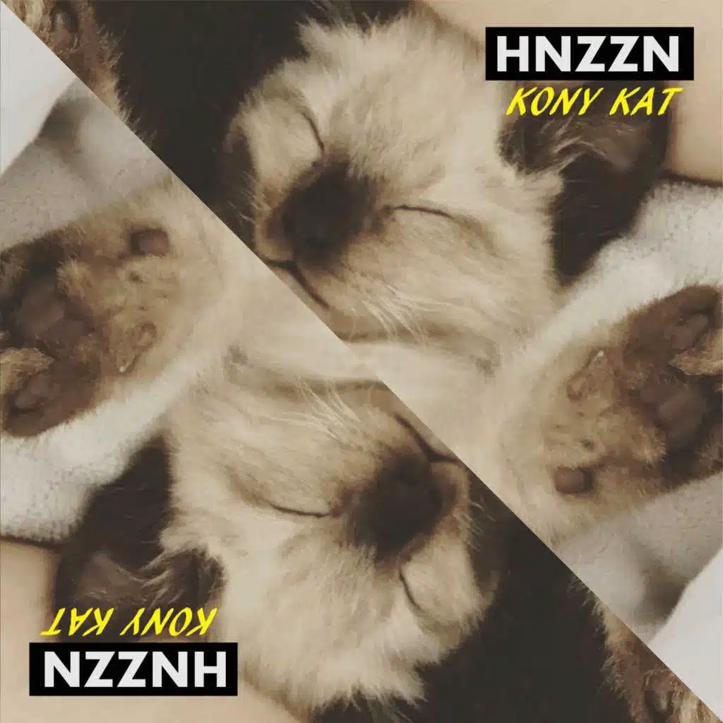 Hnzzn