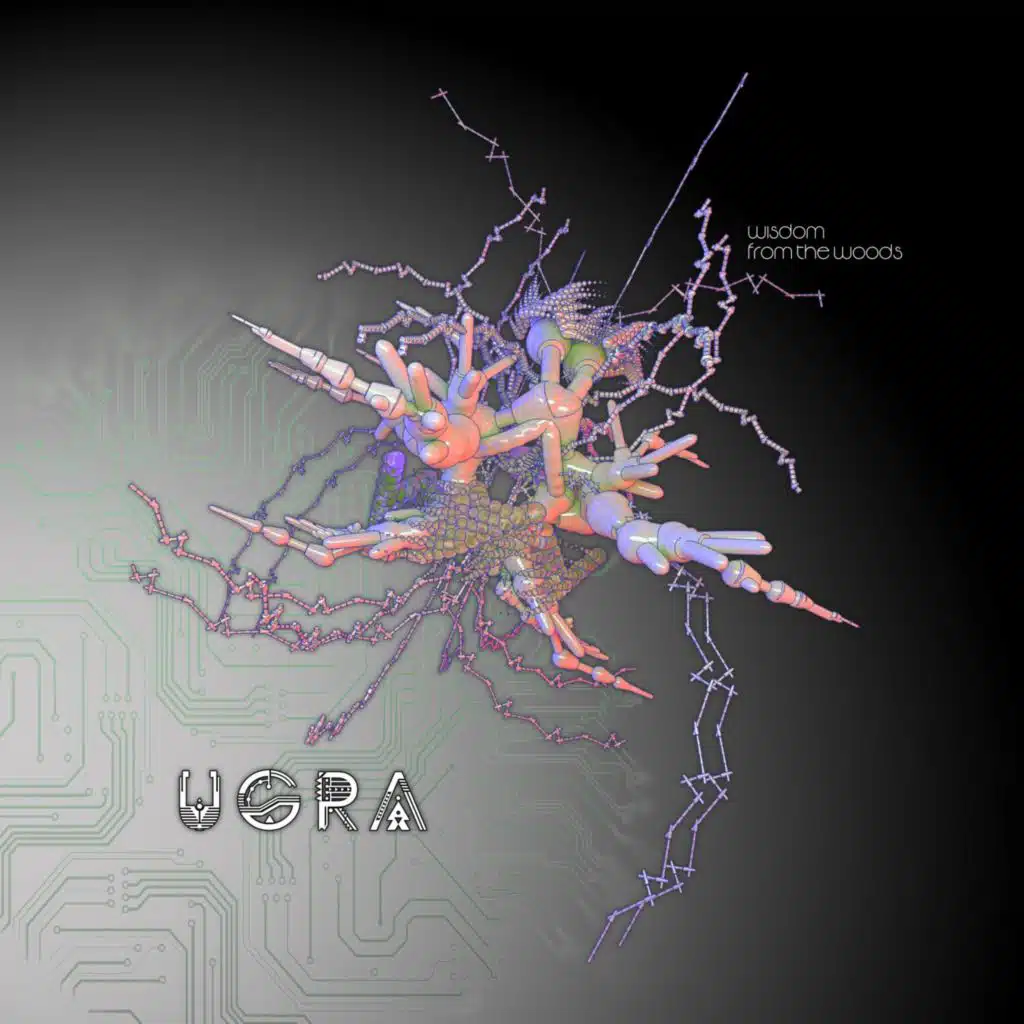 Wisdom From the Woods