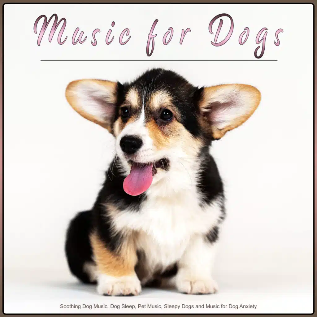 Music for Dogs: Soothing Dog Music, Dog Sleep, Pet Music, Sleepy Dogs and Music for Dog Anxiety