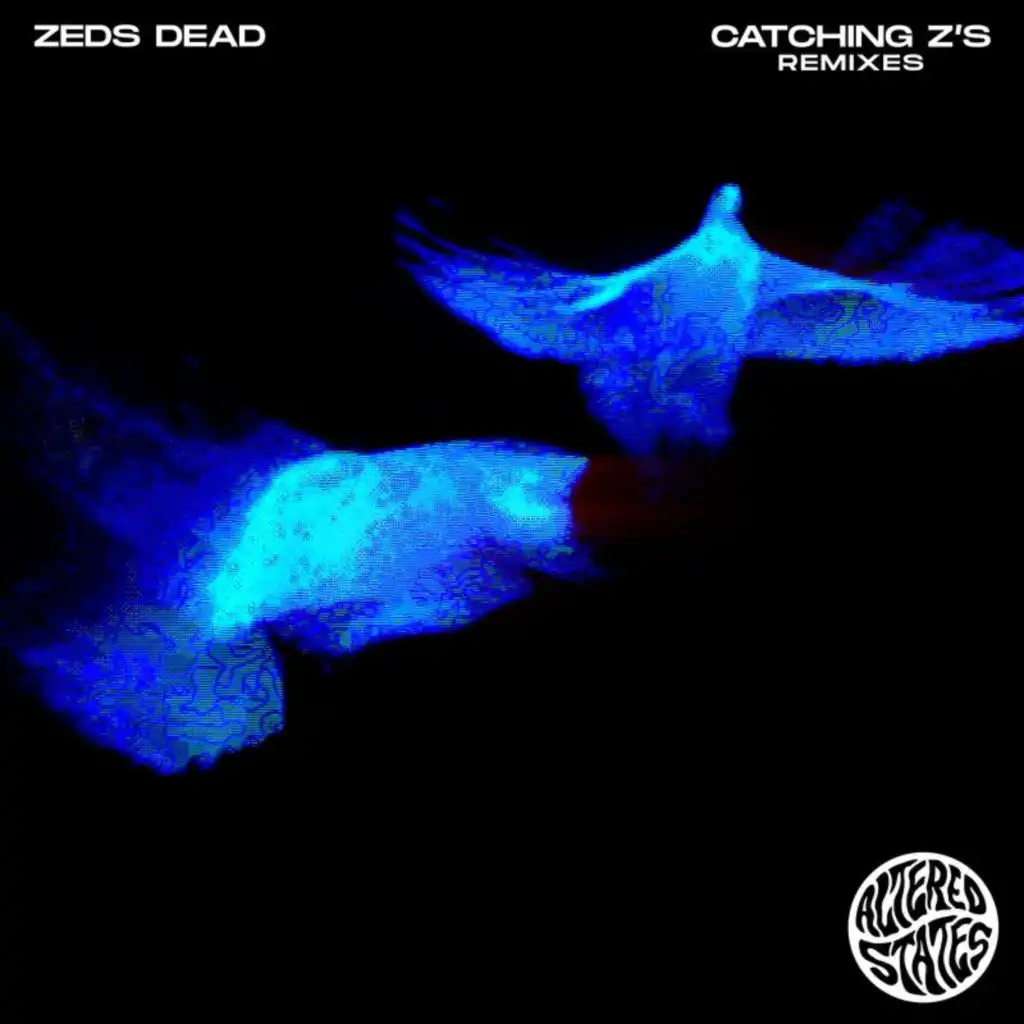 Catching Z's (Remixes)