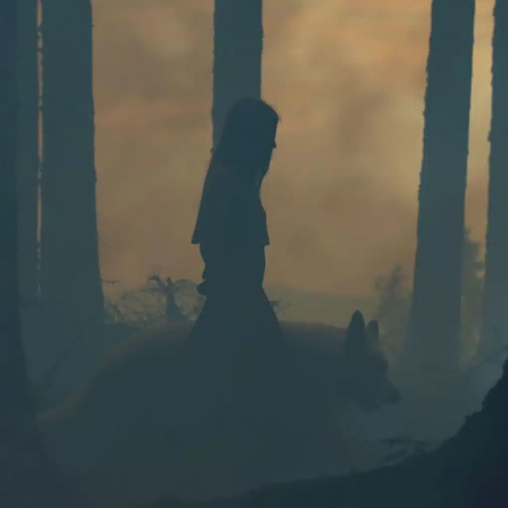 Viking Music (Wolf Spirit)