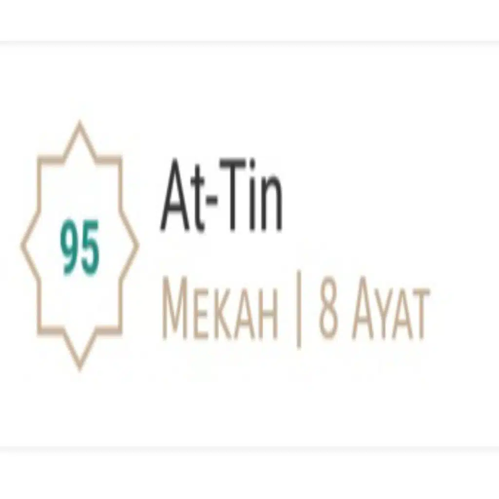 At Tin - Mishary Rashid Alafasy