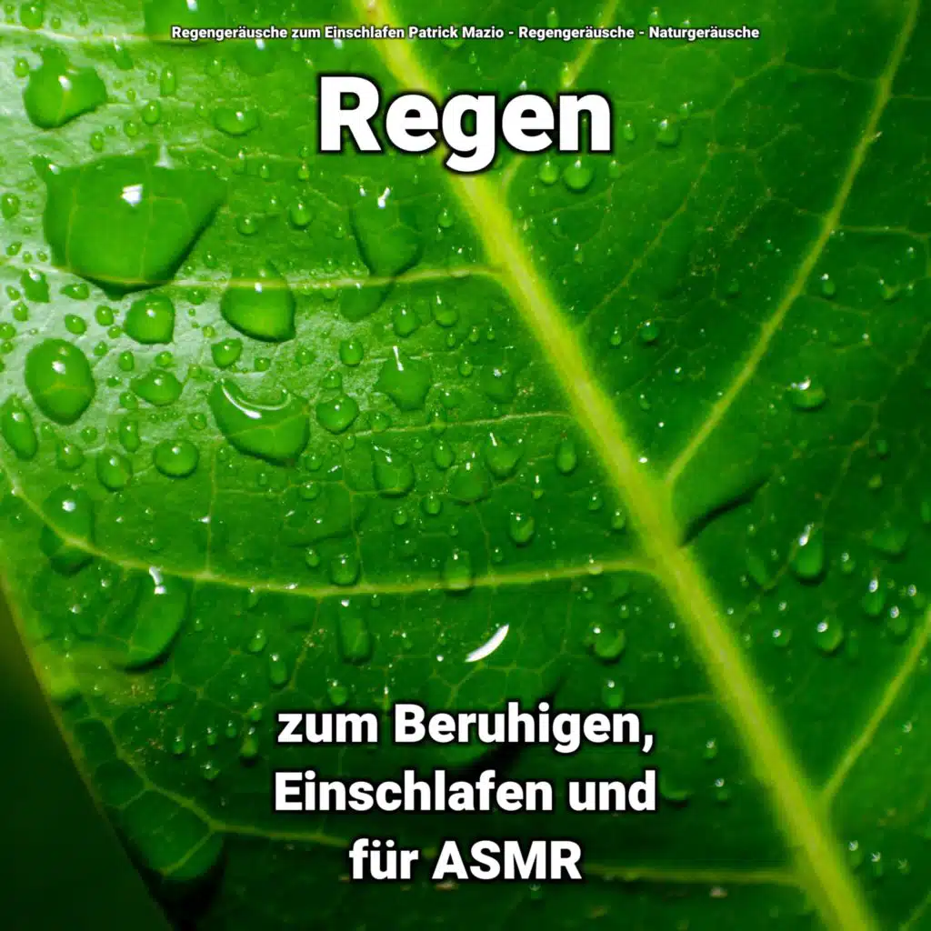 Regen zum Beruhigen, Einschlafen und für ASMR