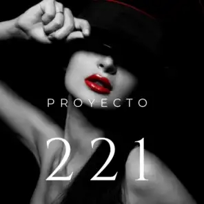 Proyecto 221