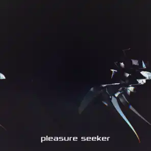 Pleasure Seeker (Edit)