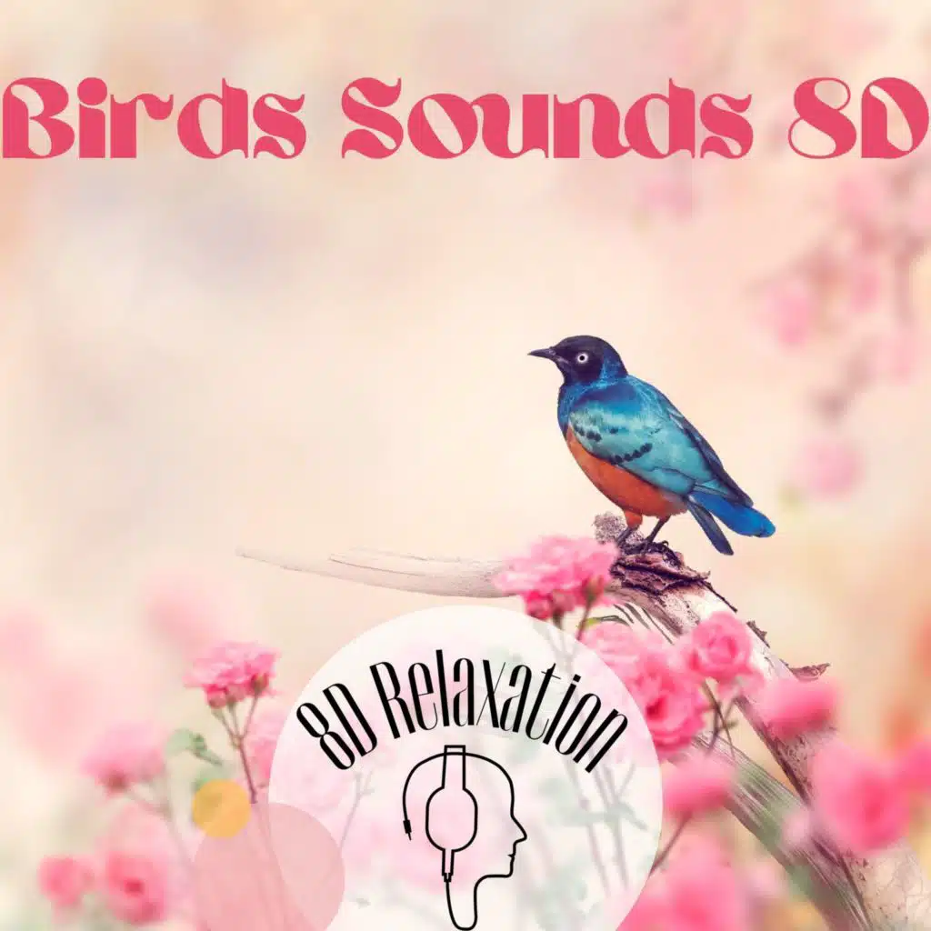 Birds Sounds 8D