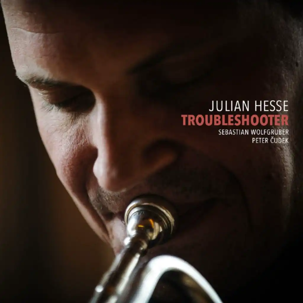 Troubleshooter (feat. Julian Hesse, Peter Cudek & Sebastian Wolfsgruber)