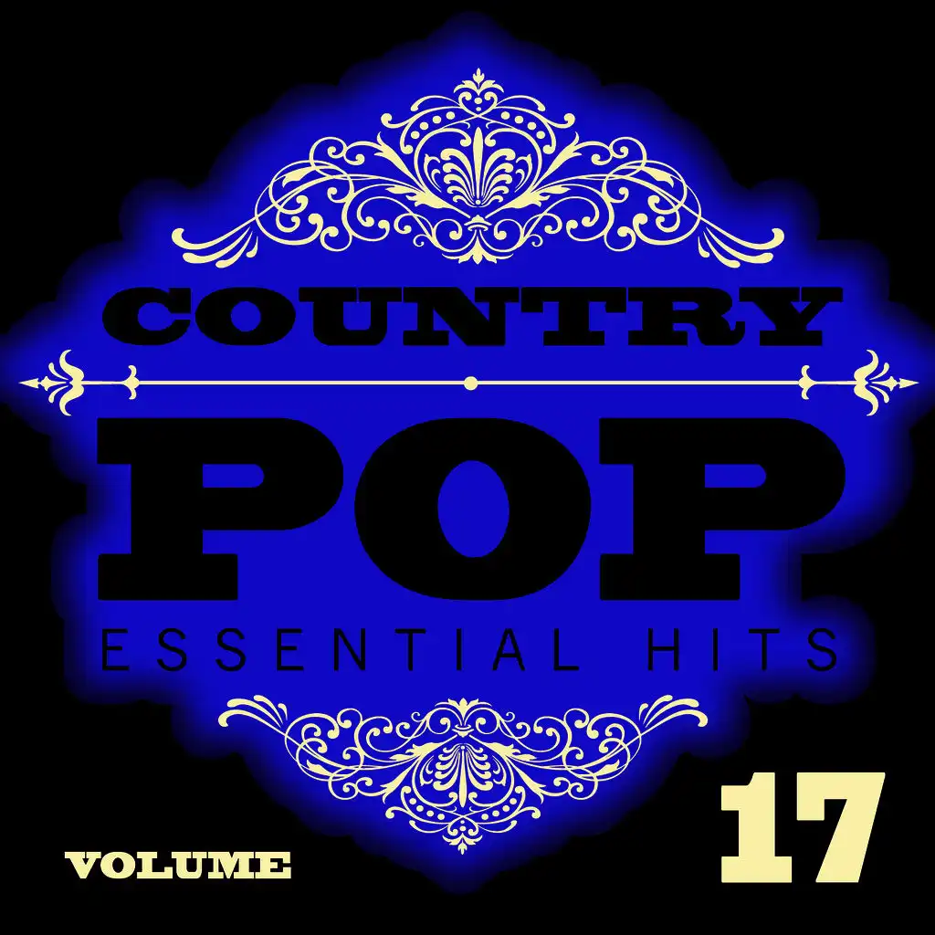 Country/Pop Essential Hits, Vol. 17