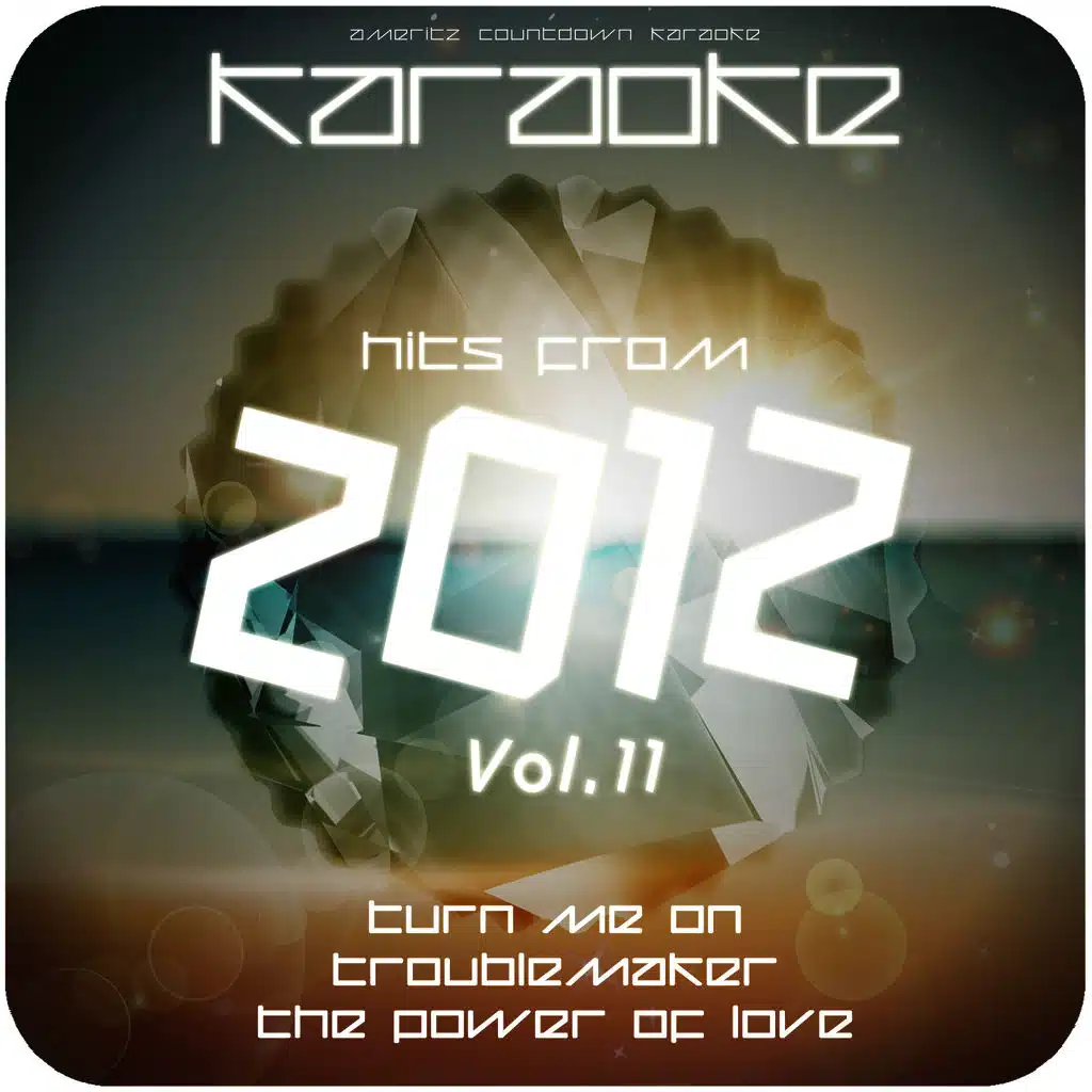 Karaoke - Hits from 2012, Vol. 11