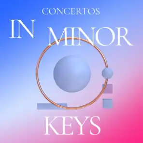 Violin Concerto in D Minor, Op. 47: I. Allegro moderato