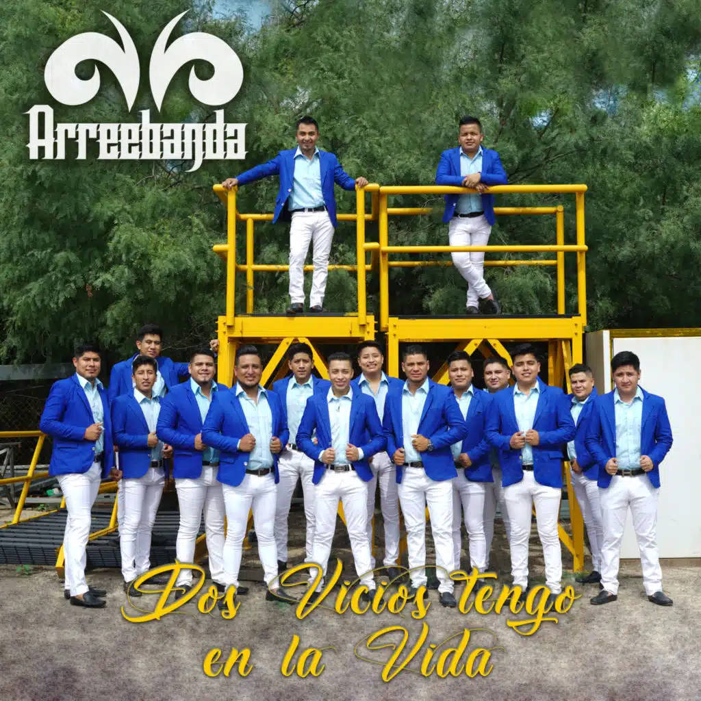Dos Vicios Tengo en la Vida