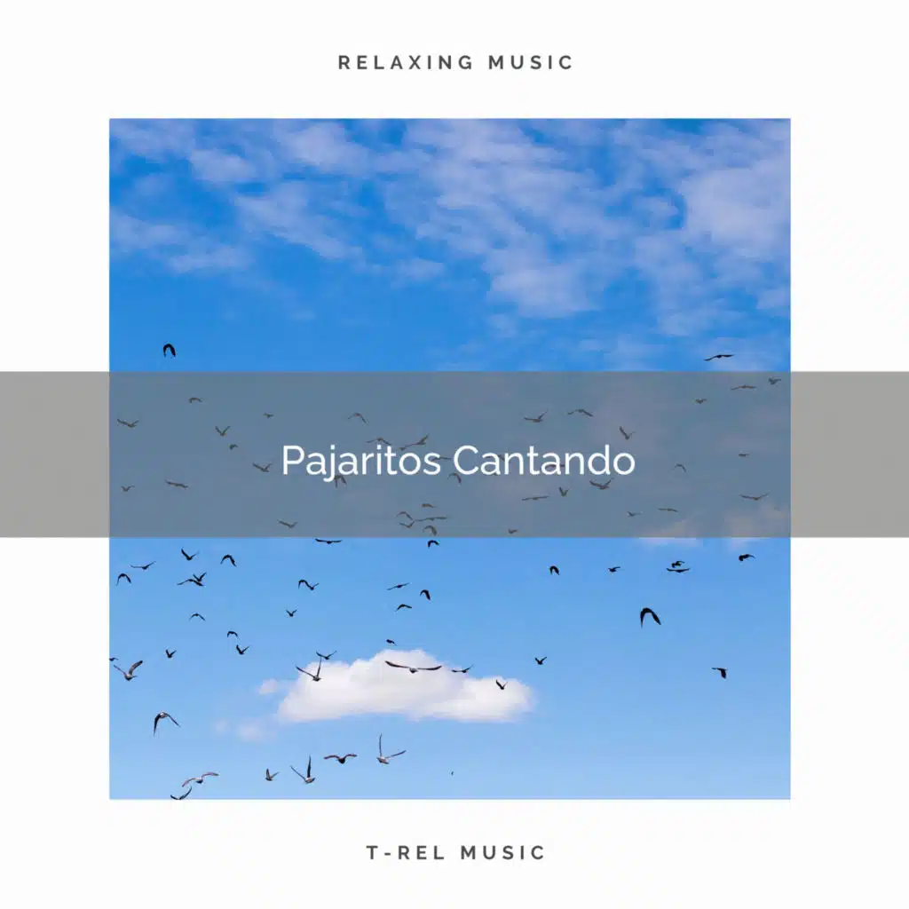 2021 Pajaritos Cantando