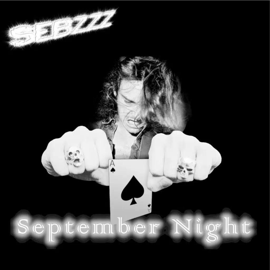 Sebzzz