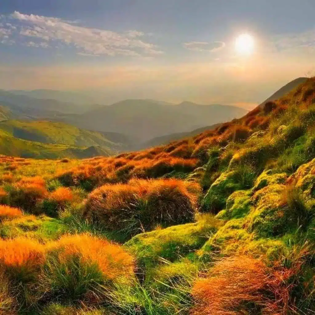 Relaxing Piano Music - focus, study, relax, background