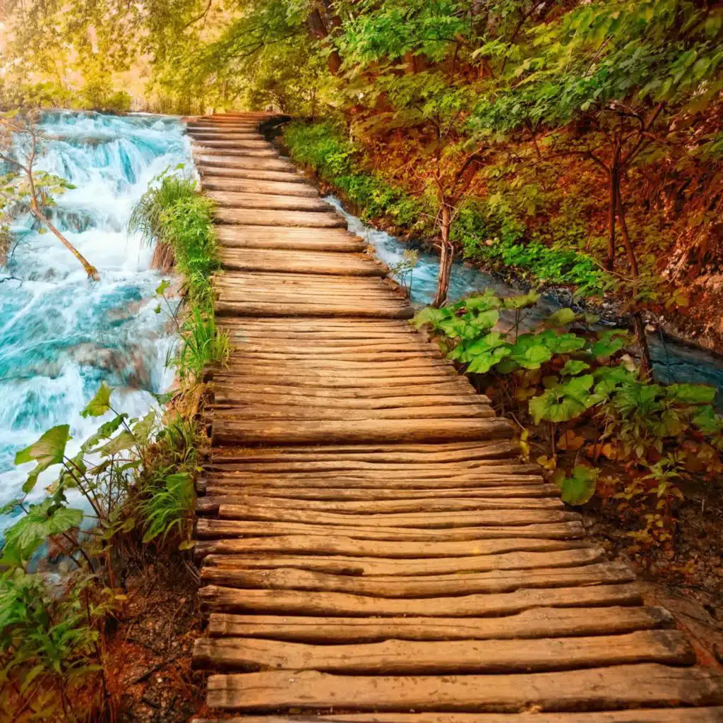 Disney RELAXING PIANO Collection