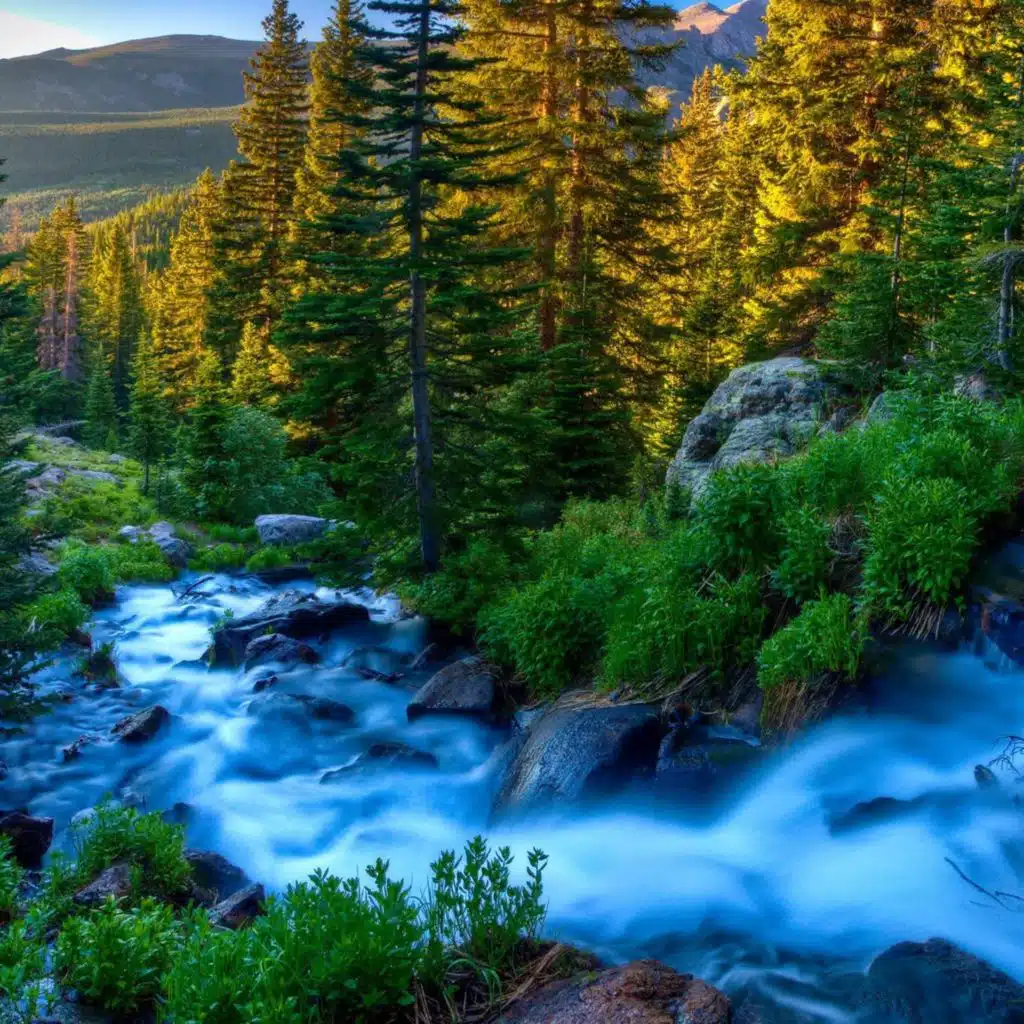 Your favorite episode. Beautiful Relaxing Music - Calm Piano Music & Guitar Music with Birds Singing