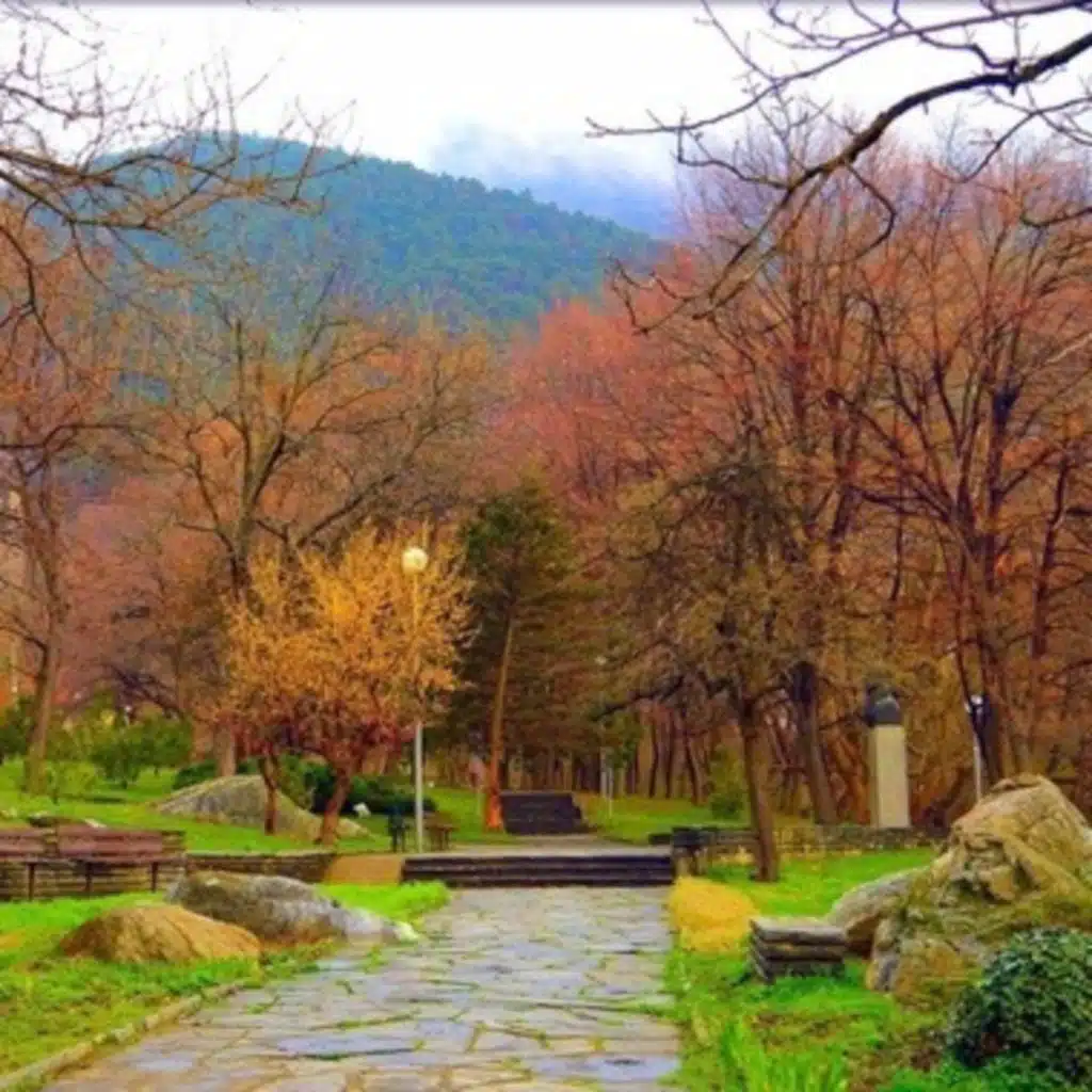 Relaxing Celtic Music for Stress Relief. Calming Music. Nature Music Therapy