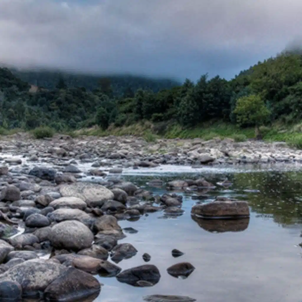 Relaxing Music with Birds Singing