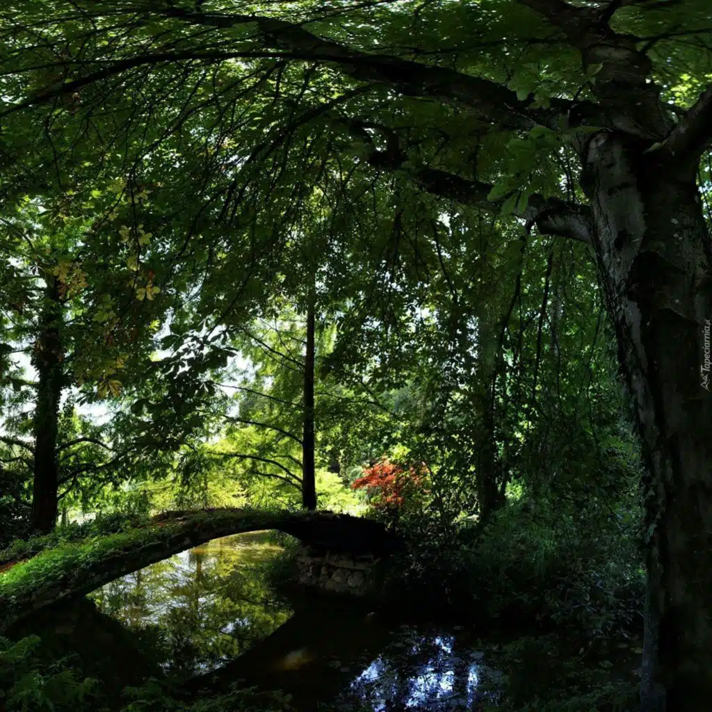 3 Hours of Beautiful Music by Peder B. Helland