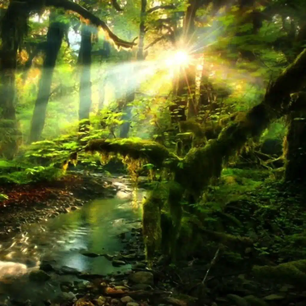 2 Hour Beautiful Piano Music for Studying and Sleeping 【BGM】