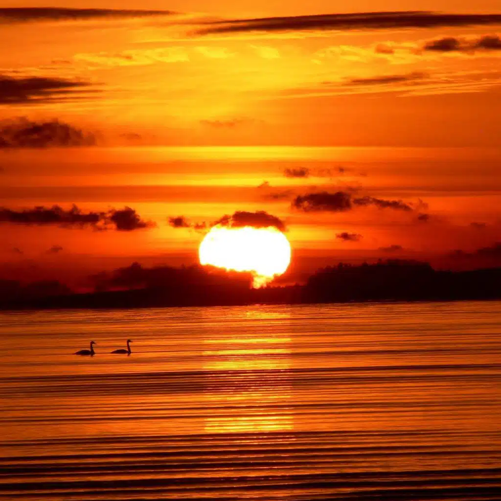 Ocean Sunset Background Meditation