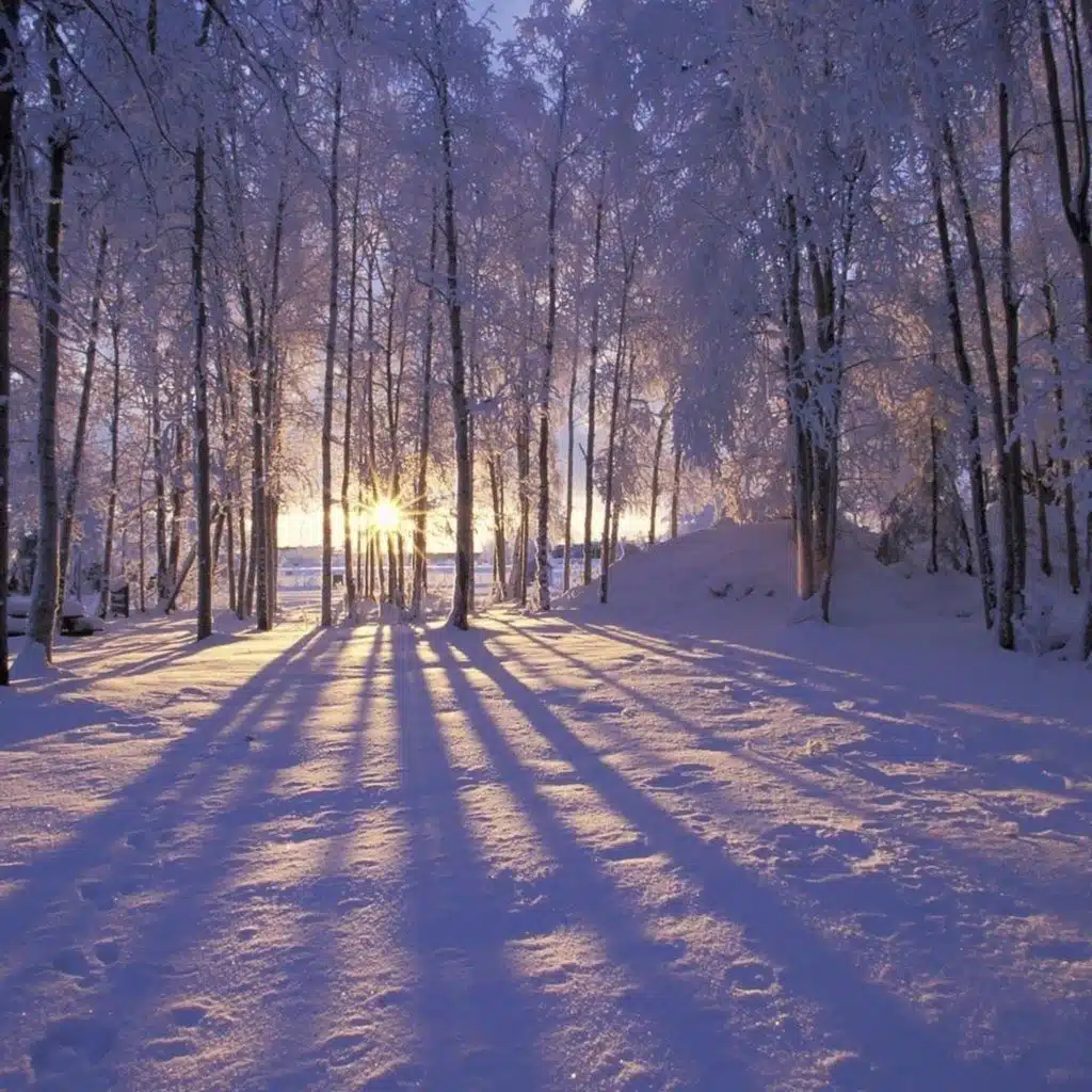 Relaxing Winter Piano Music: Meditation, Sleep, Relaxation & Background