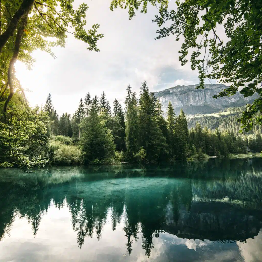 Beautiful Relaxing Music - Peaceful Piano Music & Guitar Music by Soothing Relaxation