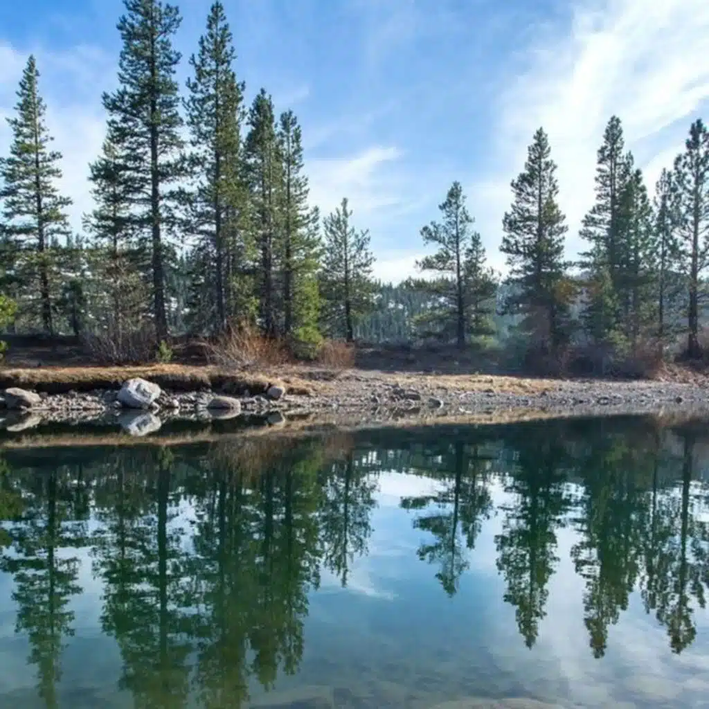 Instant Relief From Anxiety