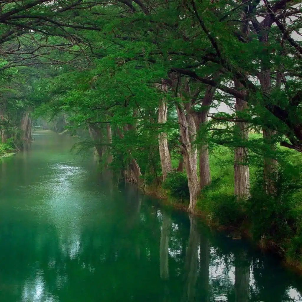 Chopin - Relaxation Piano Music