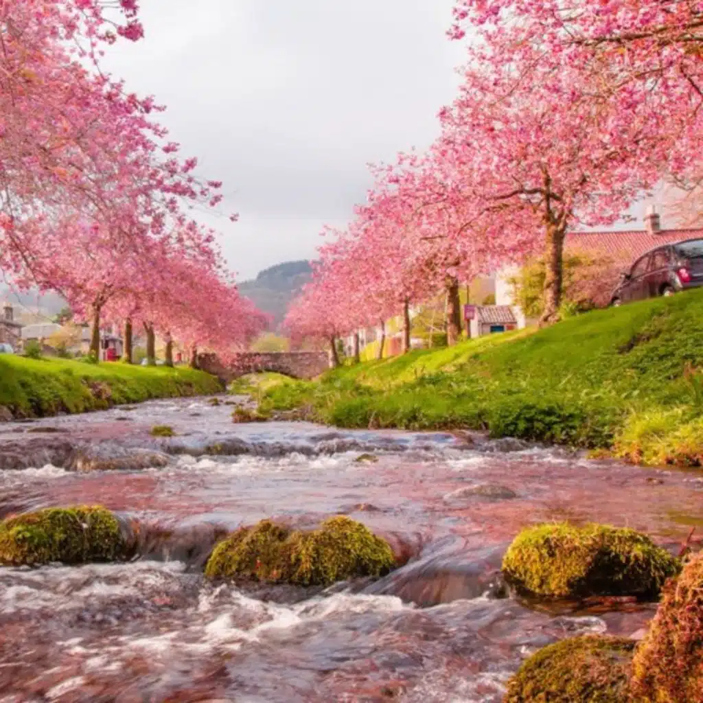 Relaxing music good to release stress