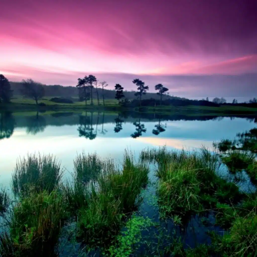 Sleep Music, Calm Piano Music