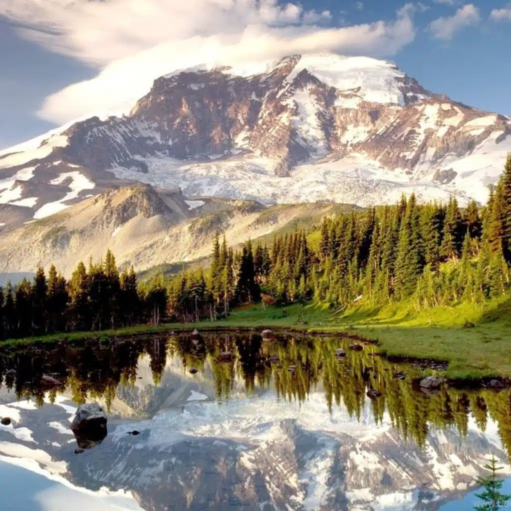 The Best Relaxing Piano & Flute Music Ever