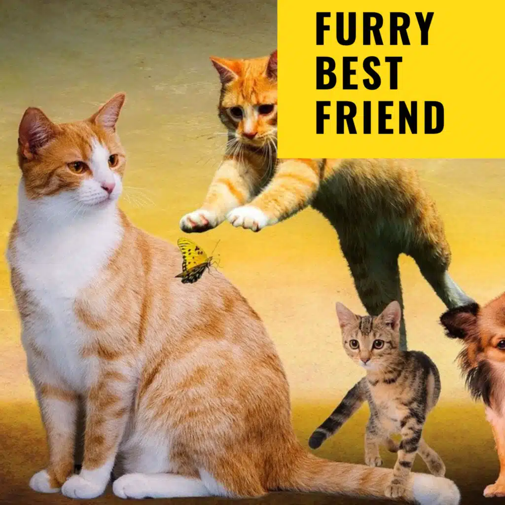 Furry Best Friend