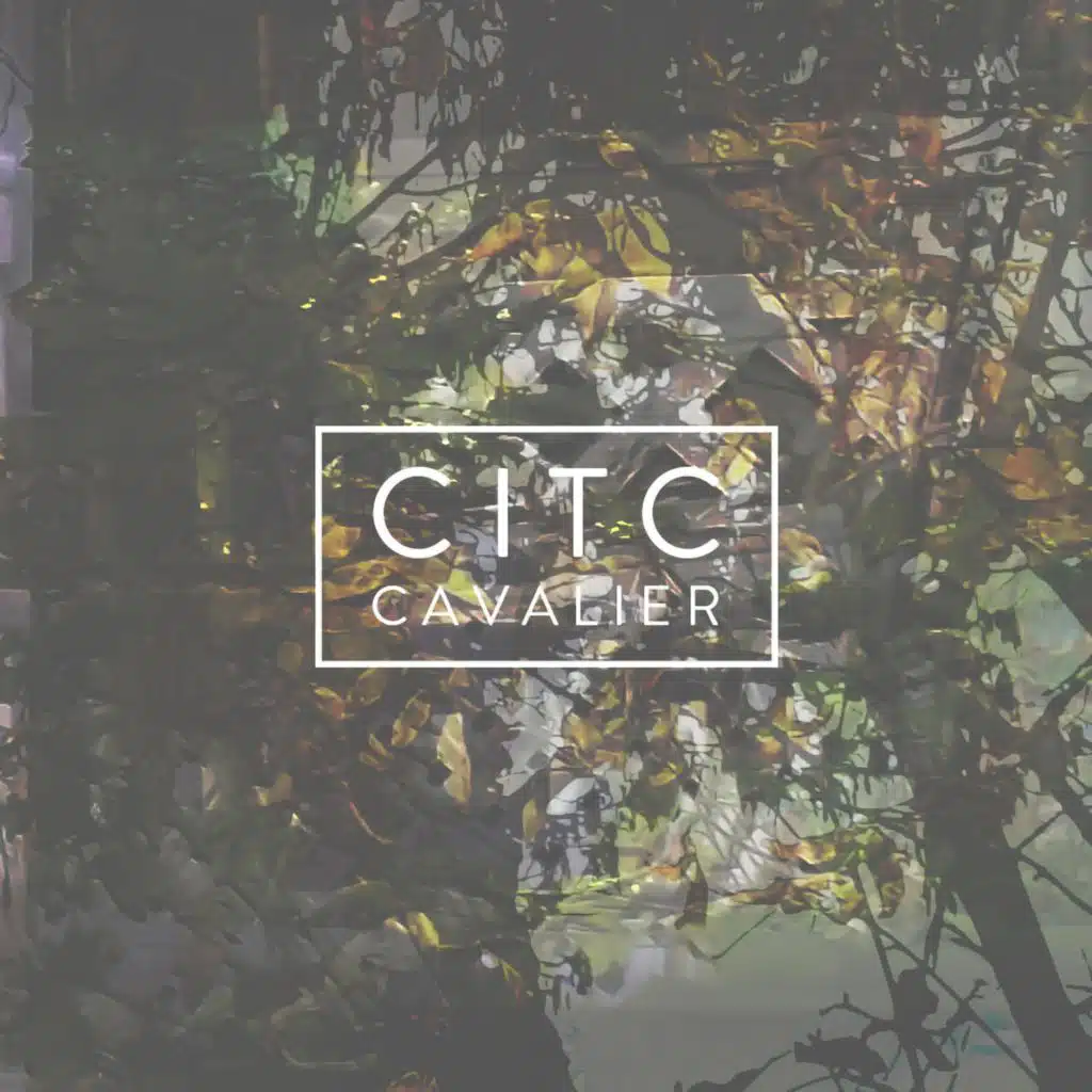 Circles in the Ceiling